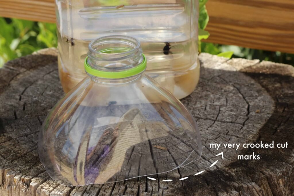 Homemade Fly Traps