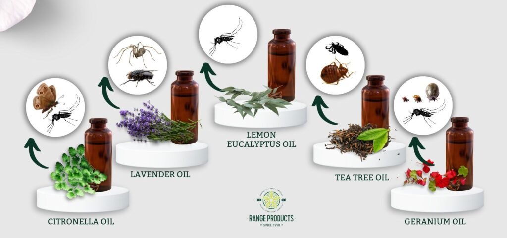 The Role of Essential Oils in Repelling Flies