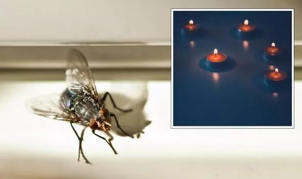 Use Fans and Light Candles